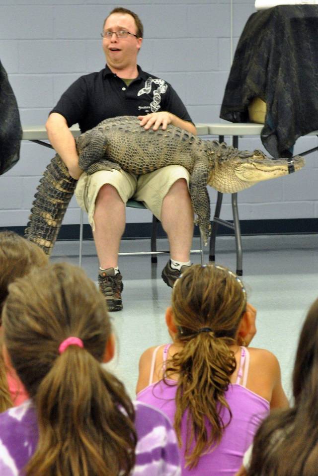 Daily Picdump