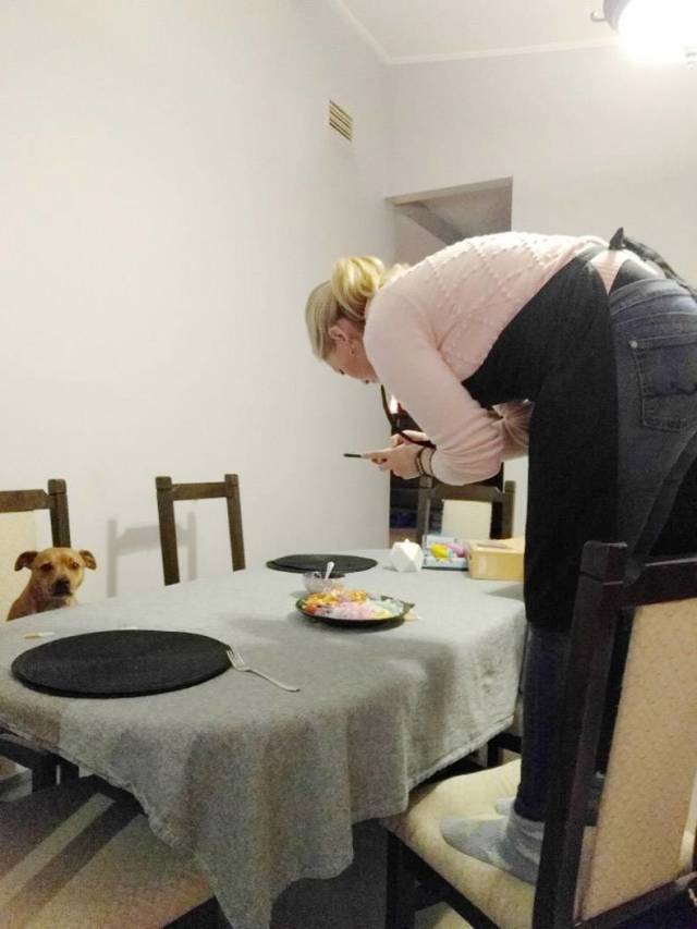 Daily Picdump