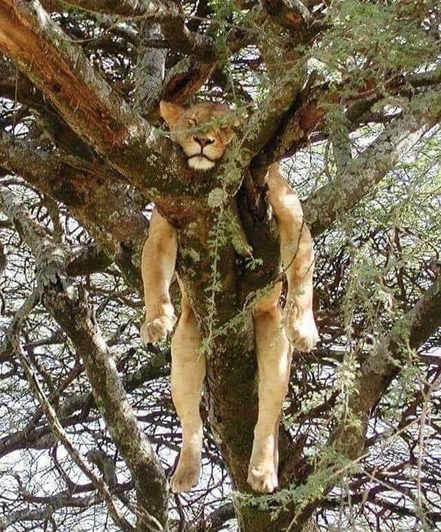 daily picdump 100 pics 18.html - 100 HD Photos | Premium Gallery 2018