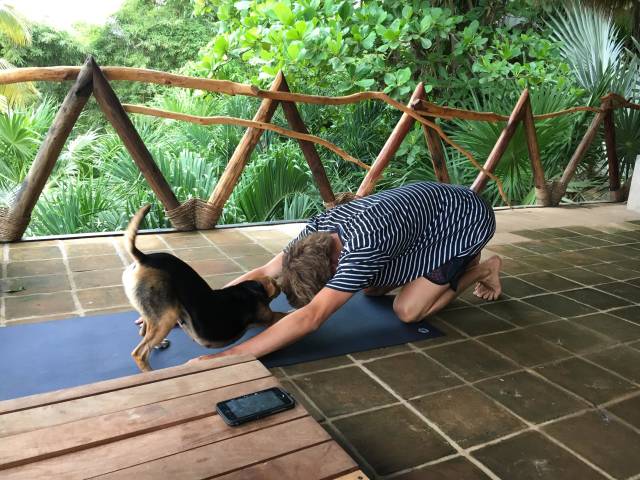 morning picdump 50 pics 3.html - 50 HD Photos | Premium Gallery 2018