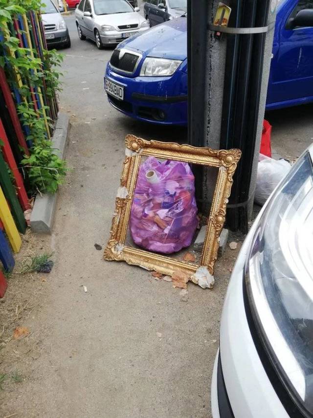 Morning Picdump