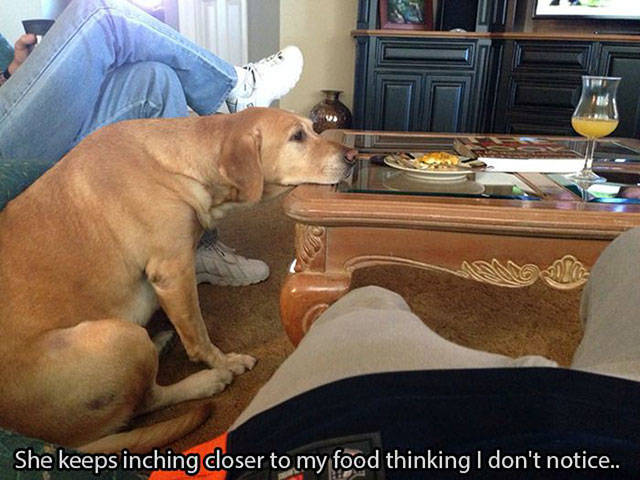 Photos That Will Make You Feel Good