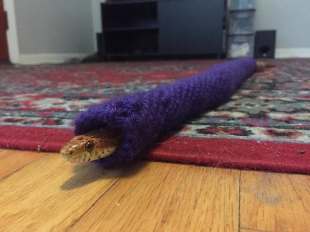 Photos That Will Make You Feel Good