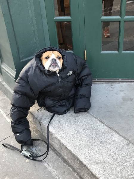 Photos That Will Make You Feel Good