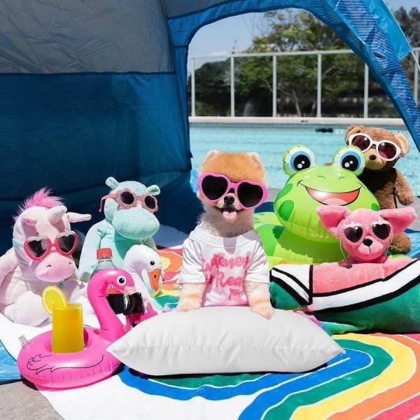 daily picdump 94 pics 38.html - 94 HD Photos | Premium Gallery 2018