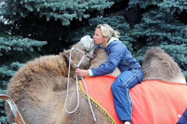 daily picdump 94 pics 38.html - 94 HD Photos | Premium Gallery 2018