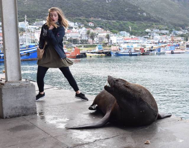 daily picdump 94 pics 38.html - 94 HD Photos | Premium Gallery 2018