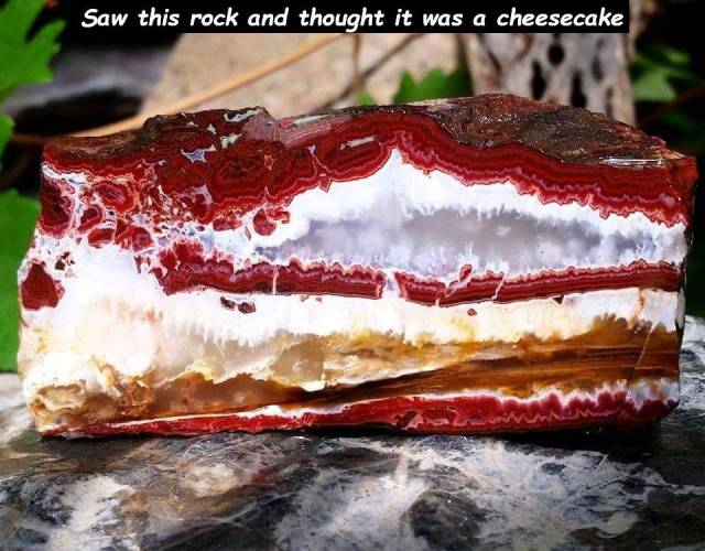 daily picdump 94 pics 38.html - 94 HD Photos | Premium Gallery 2018