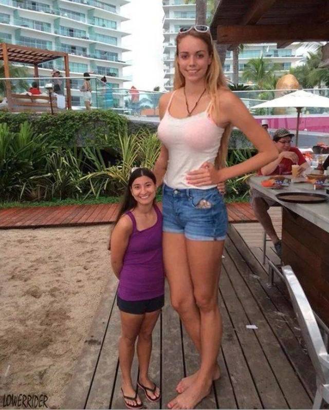 daily picdump 94 pics 38.html - 94 HD Photos | Premium Gallery 2018