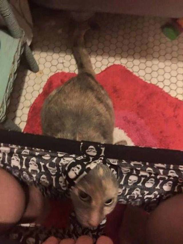 daily picdump 94 pics 38.html - 94 HD Photos | Premium Gallery 2018