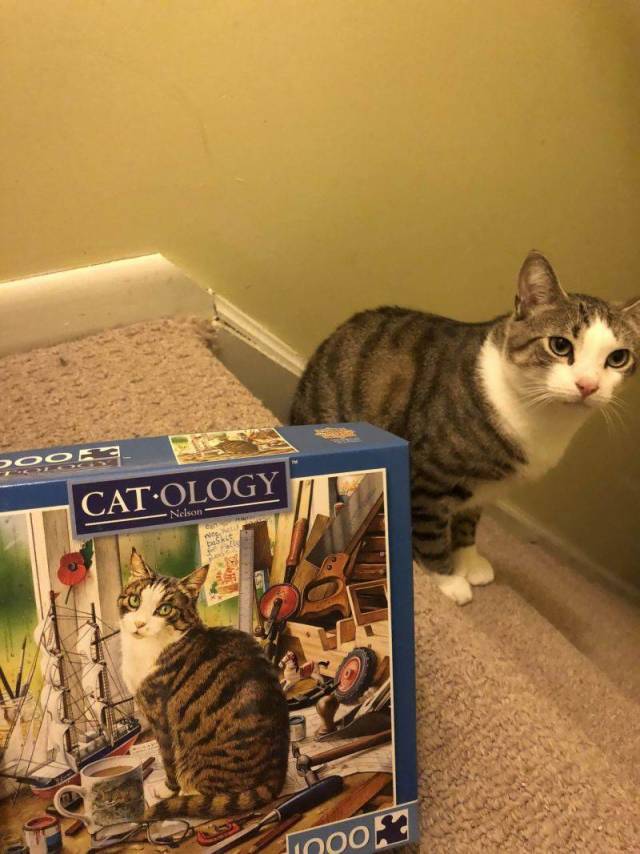 daily picdump 94 pics 38.html - 94 HD Photos | Premium Gallery 2018