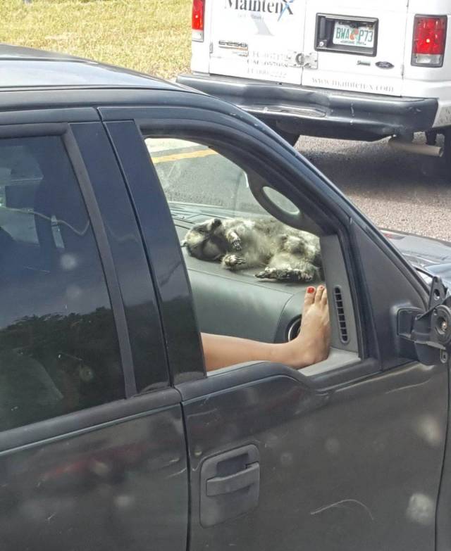 daily picdump 94 pics 38.html - 94 HD Photos | Premium Gallery 2018