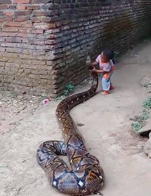 daily picdump 94 pics 38.html - 94 HD Photos | Premium Gallery 2018