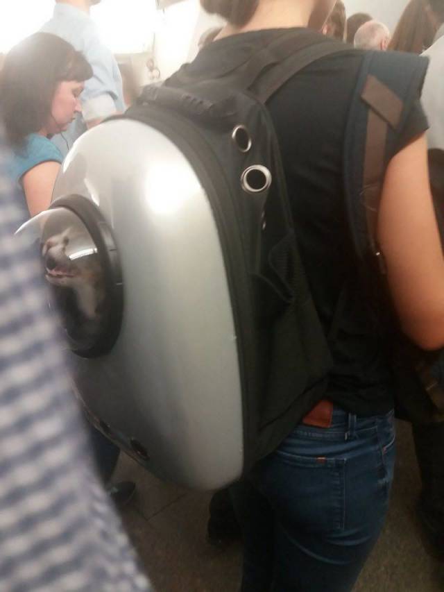 daily picdump 94 pics 38.html - 94 HD Photos | Premium Gallery 2018