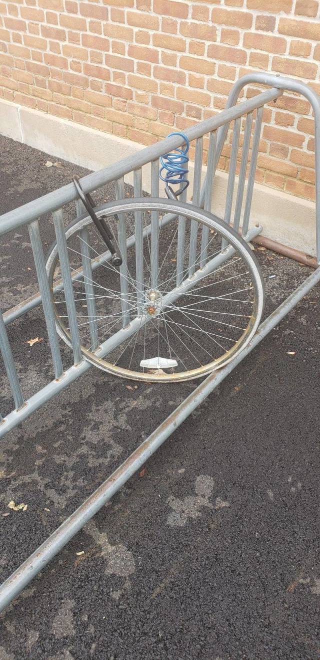 daily picdump 94 pics 38.html - 94 HD Photos | Premium Gallery 2018