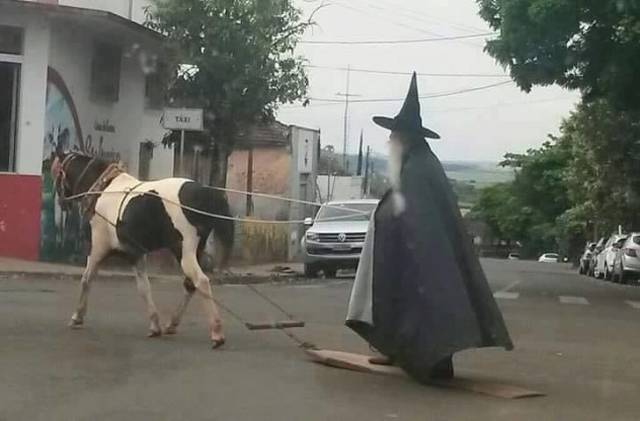 Hard-to-explain WTF Photos