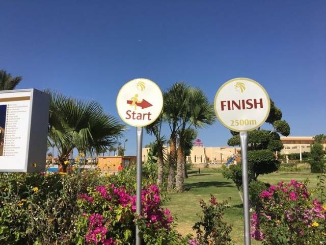 Hard-to-explain WTF Photos