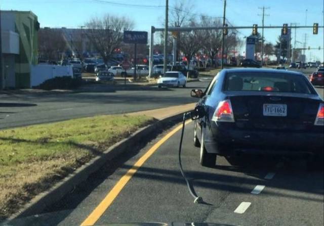 Hard-to-explain WTF Photos