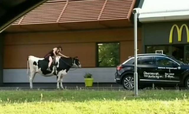 Hard-to-explain WTF Photos