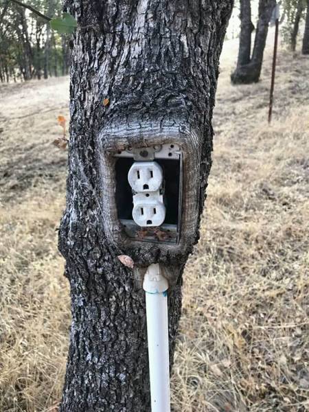 morning picdump 50 pics 2.html - 50 HD Photos | Premium Gallery 2018