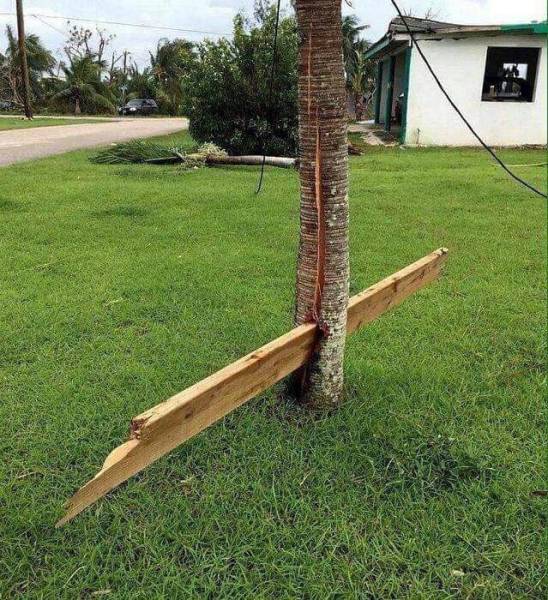 morning picdump 50 pics 2.html - 50 HD Photos | Premium Gallery 2018