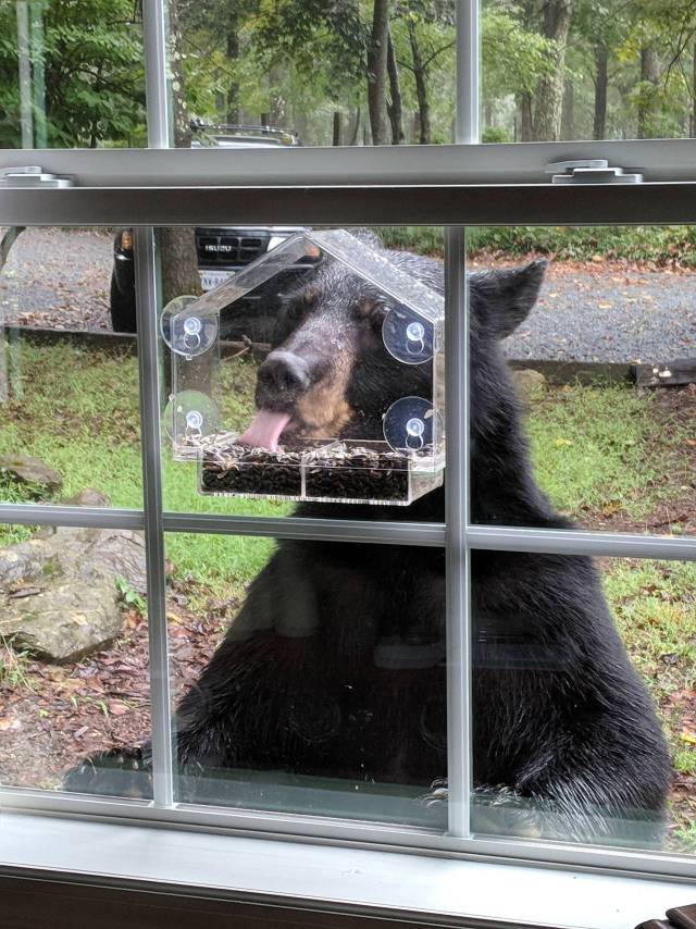 morning picdump 50 pics 2.html - 50 HD Photos | Premium Gallery 2018
