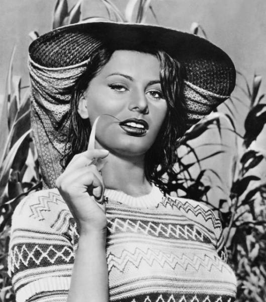 Sophia Loren Was Beautiful In Her Prime