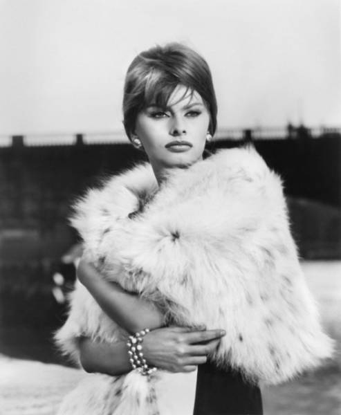 Sophia Loren Was Beautiful In Her Prime