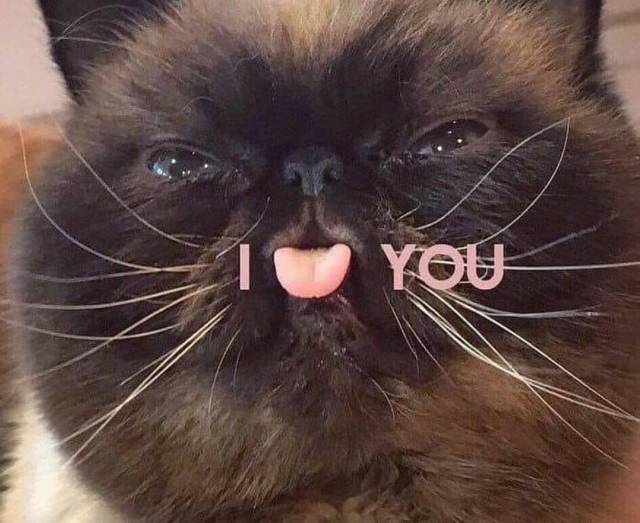 daily picdump 102 pics 38.html - 102 HD Photos | Premium Gallery 2018