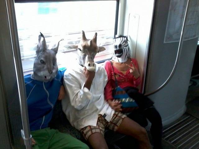 daily picdump 102 pics 38.html - 102 HD Photos | Premium Gallery 2018