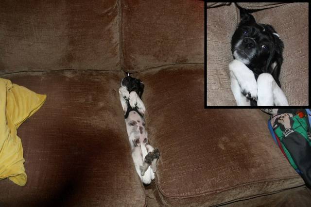 daily picdump 102 pics 38.html - 102 HD Photos | Premium Gallery 2018