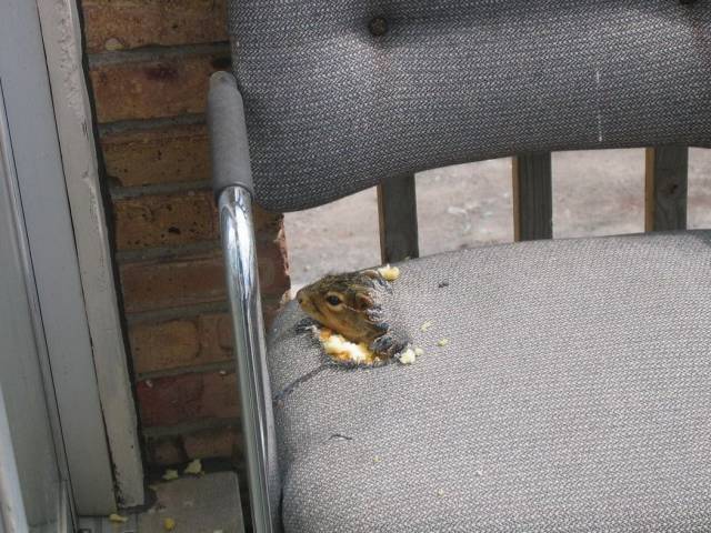 daily picdump 102 pics 38.html - 102 HD Photos | Premium Gallery 2018