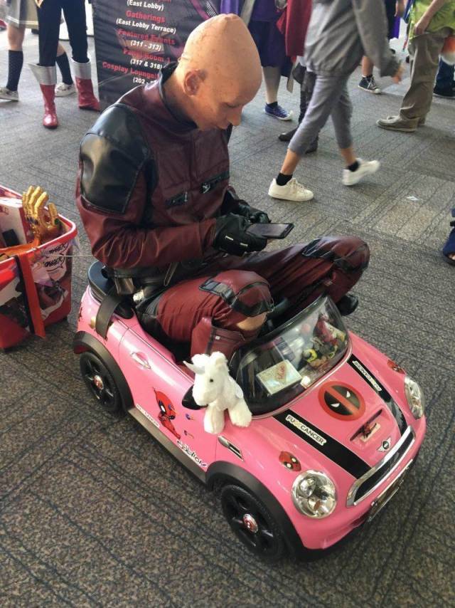 daily picdump 102 pics 38.html - 102 HD Photos | Premium Gallery 2018