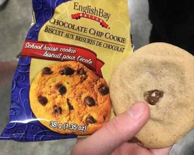 funny picdump 52 pics 21.html - 52 HD Photos | Premium Gallery 2018