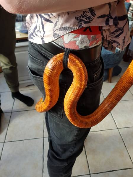 morning picdump 53 pics 14.html - 53 HD Photos | Premium Gallery 2018