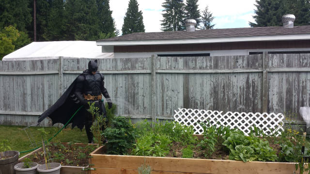 morning picdump 53 pics 14.html - 53 HD Photos | Premium Gallery 2018