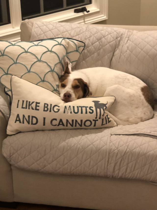 morning picdump 53 pics 14.html - 53 HD Photos | Premium Gallery 2018