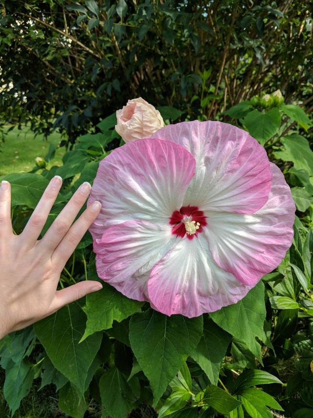 morning picdump 53 pics 14.html - 53 HD Photos | Premium Gallery 2018