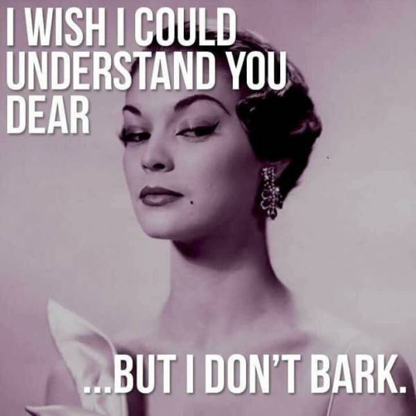 funny picdump 52 pics 12.html - 52 HD Photos | Premium Gallery 2018