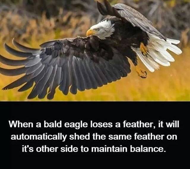 funny picdump 52 pics 12.html - 52 HD Photos | Premium Gallery 2018