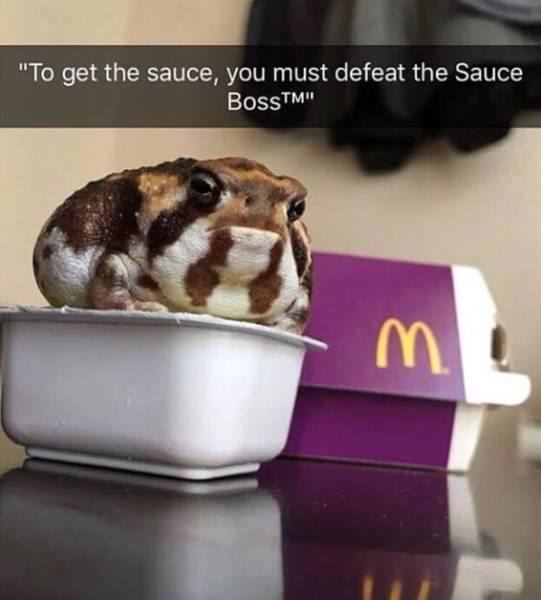 funny picdump 52 pics 12.html - 52 HD Photos | Premium Gallery 2018