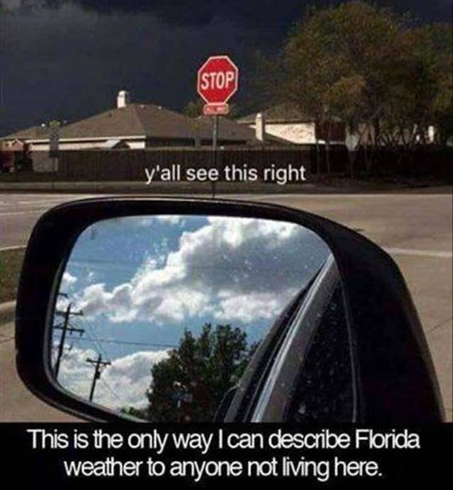 funny picdump 52 pics 12.html - 52 HD Photos | Premium Gallery 2018