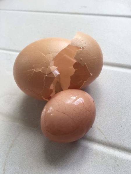 morning picdump 52 pics 21.html - 52 HD Photos | Premium Gallery 2018