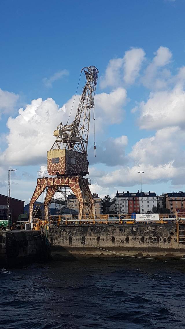 morning picdump 52 pics 21.html - 52 HD Photos | Premium Gallery 2018