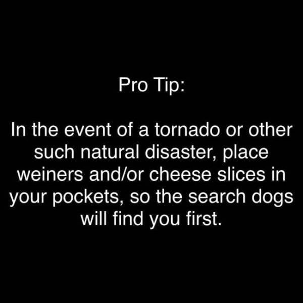 We See What You Did There, Smart-A##