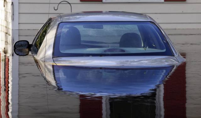 daily picdump 99 pics 49.html - 99 HD Photos | Premium Gallery 2018