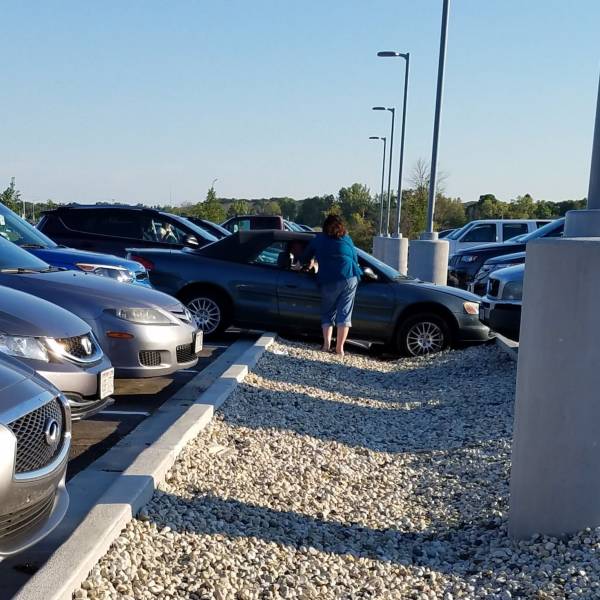 daily picdump 99 pics 49.html - 99 HD Photos | Premium Gallery 2018