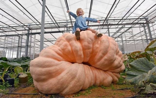 daily picdump 99 pics 49.html - 99 HD Photos | Premium Gallery 2018