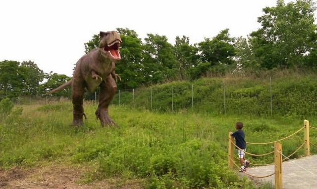 daily picdump 99 pics 49.html - 99 HD Photos | Premium Gallery 2018