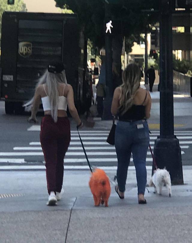 daily picdump 99 pics 49.html - 99 HD Photos | Premium Gallery 2018